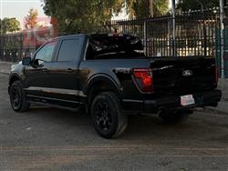 فۆرد F-150